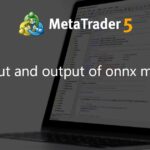 Input and output of onnx model - script for MetaTrader 5