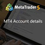 MT4 Account details - expert for MetaTrader 4